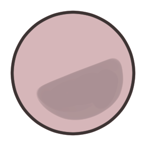 ポケットモンスターシャイニングパール